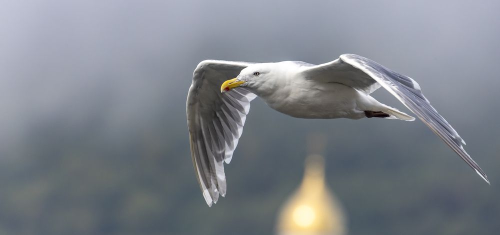 Photograph by Подосинников Максим