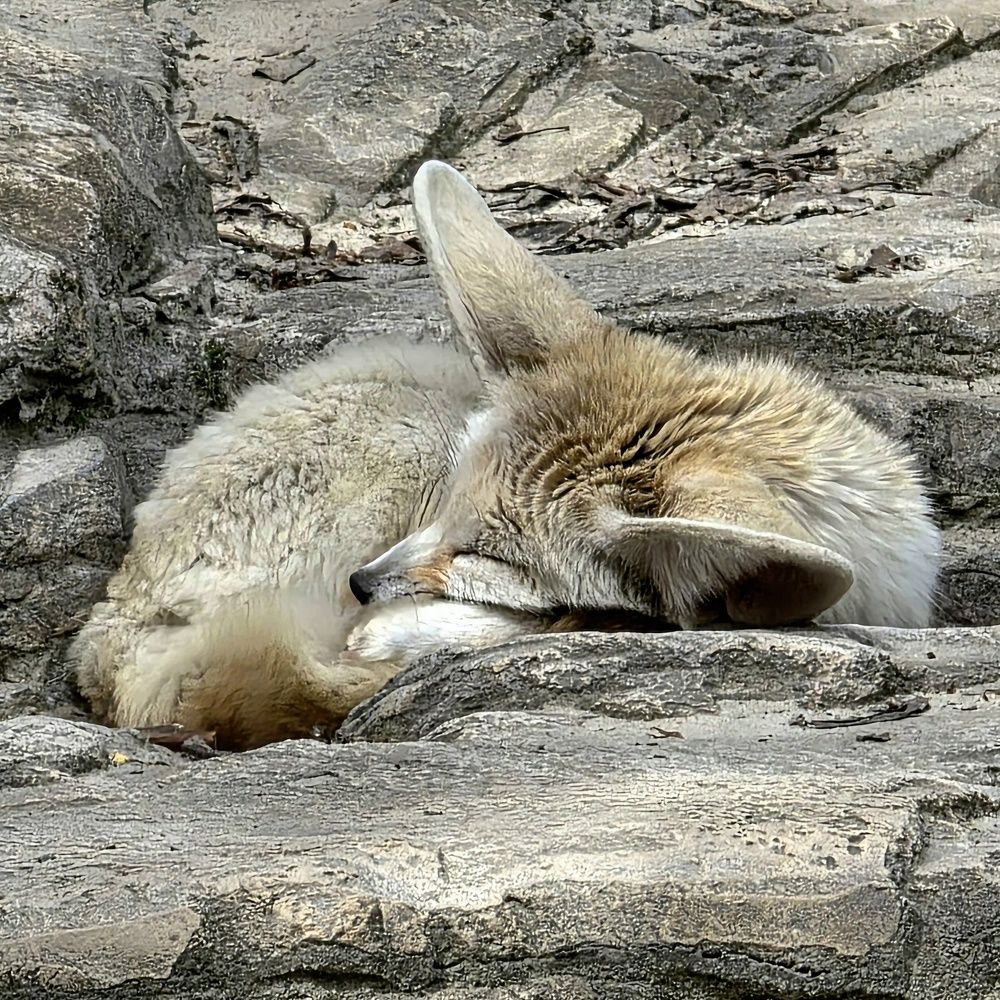 Photograph by Куделенко Оксана