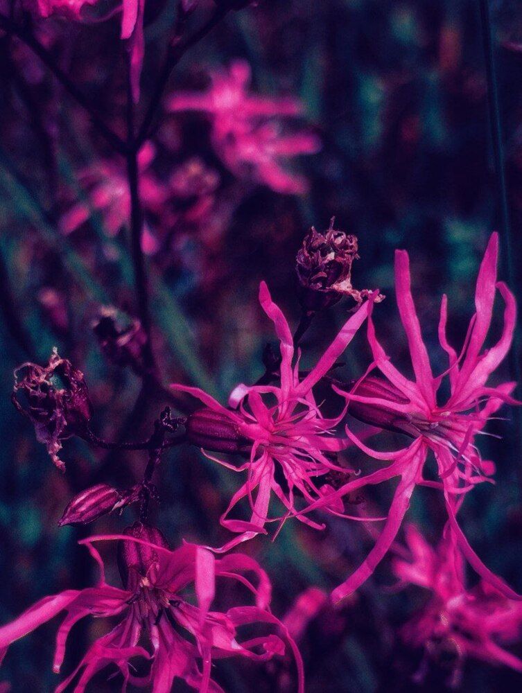 Photograph by Ия Дирко