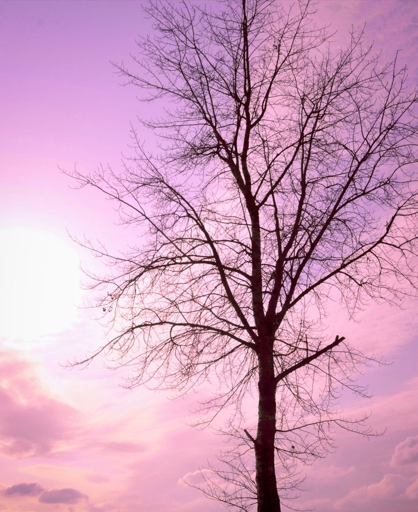 Photograph by Александр Лабутин
