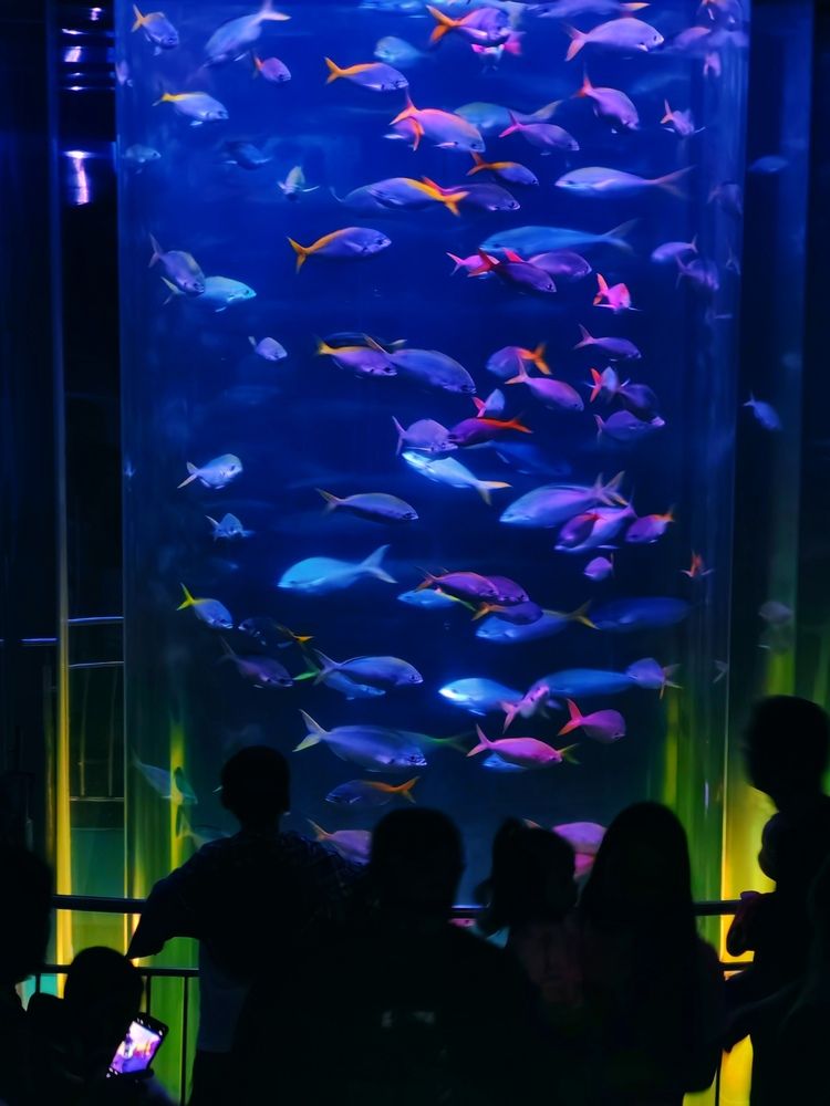 Photograph by Александра Пецевич