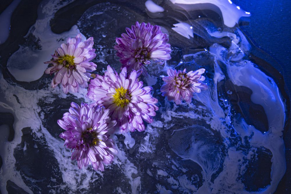 Photograph by Игорь Смирнов