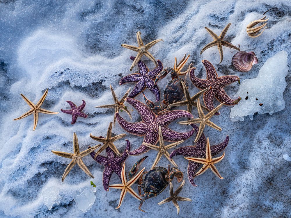 Photograph by Ольга Мусиенко