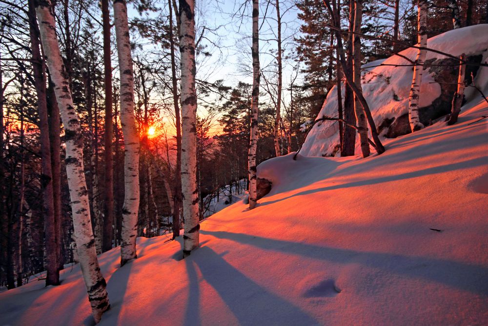 Фотография автора Кухта Мария