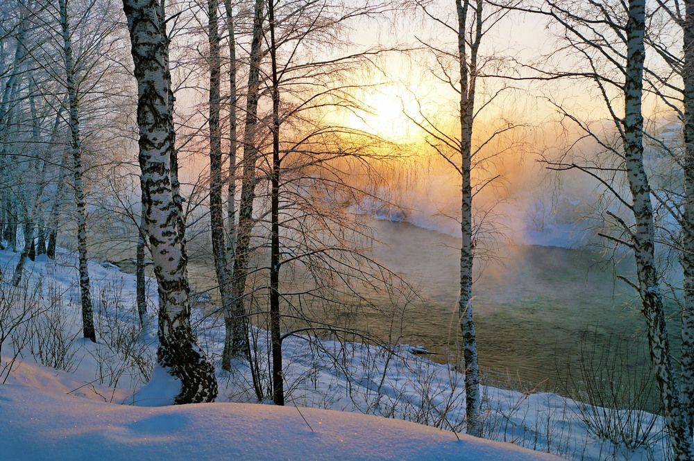 Photograph by Мишустина Татьяна