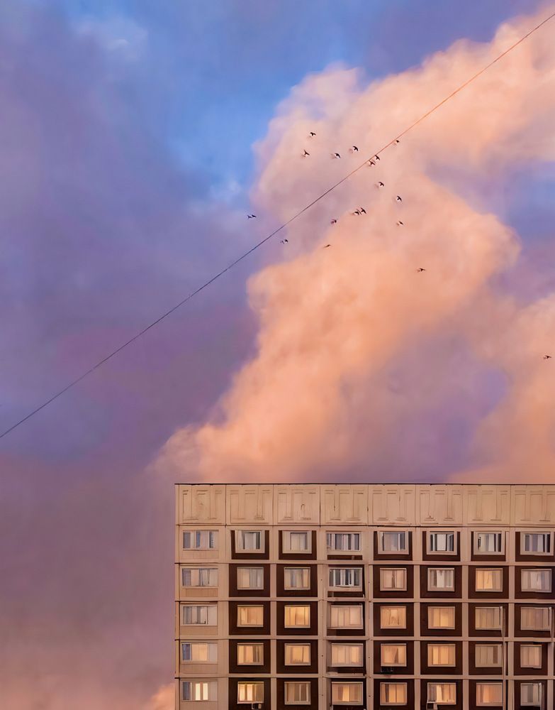 Фотография автора Светлана Володинская