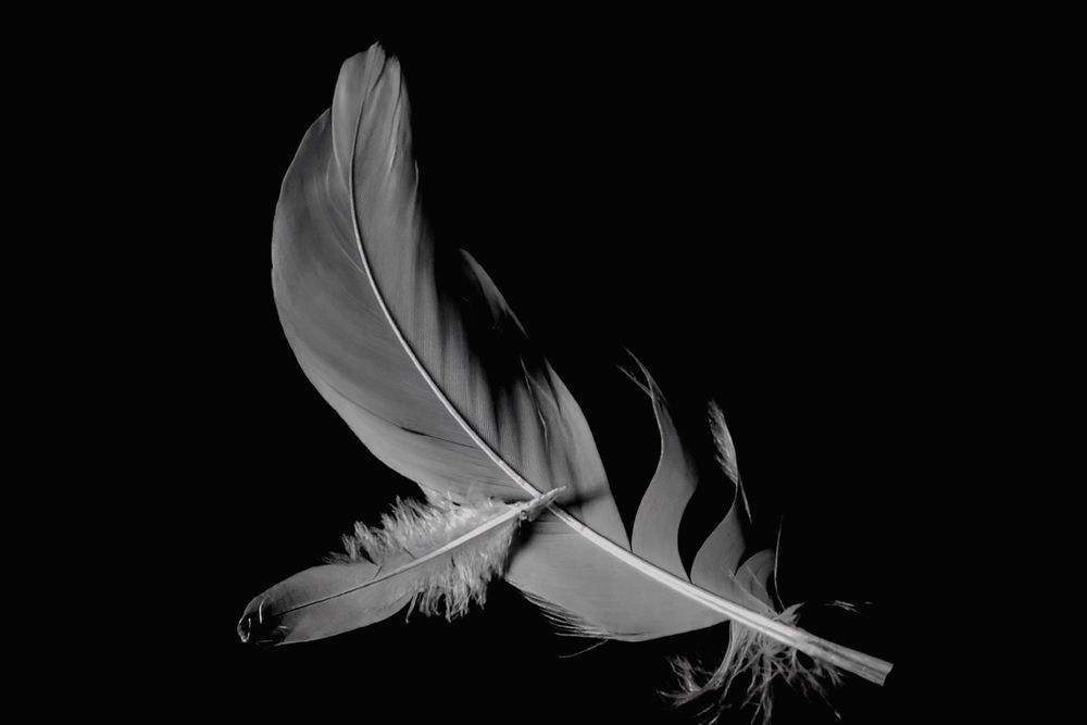 Photograph by HECTOR ANTONIO RAUCHS