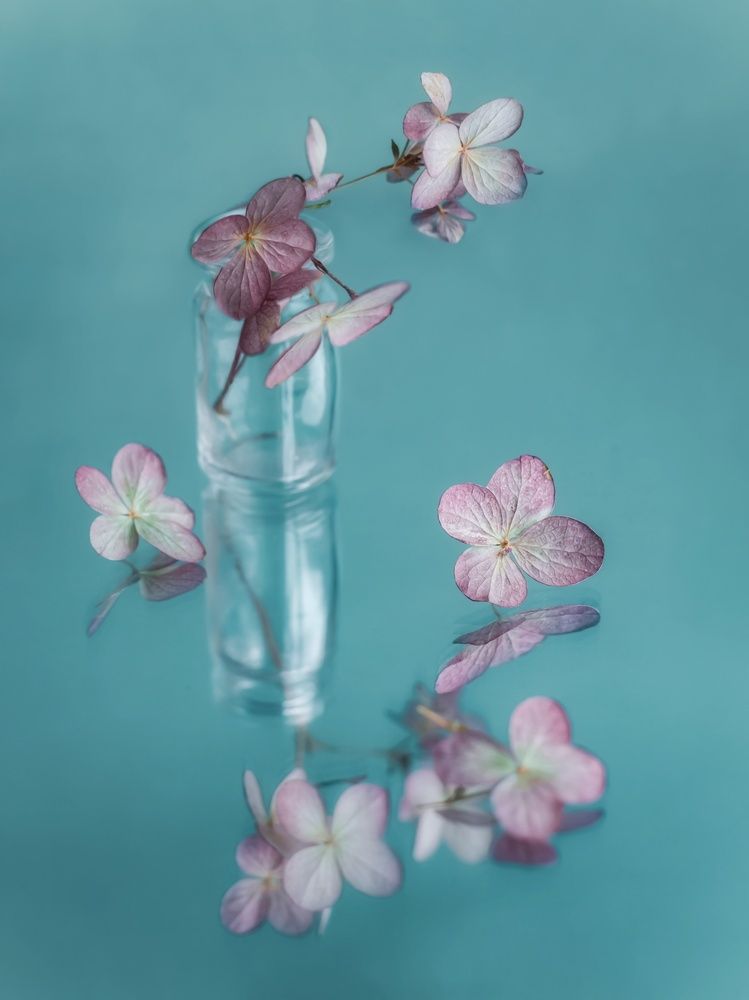 Photograph by Юлия Яремко