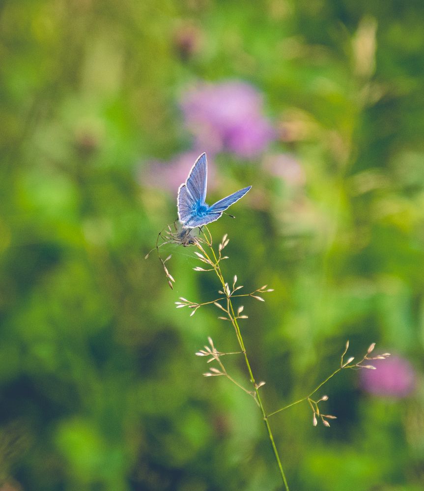 Photograph by Anna Prohorova
