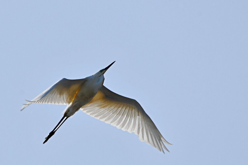 Photograph by Игорь Седунов