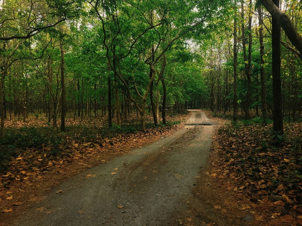 Photograph by Jenisha G Dastidar