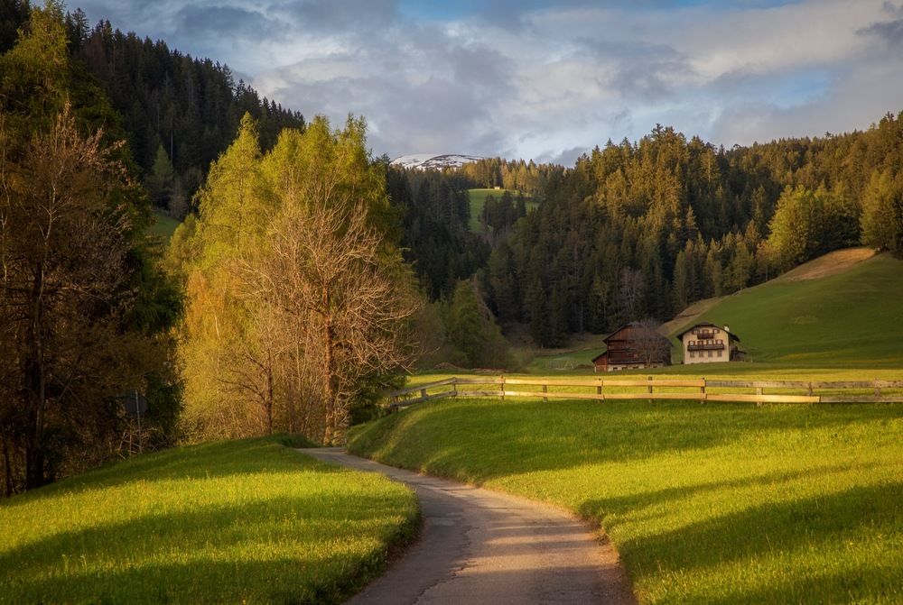 Photograph by Алекс Римский