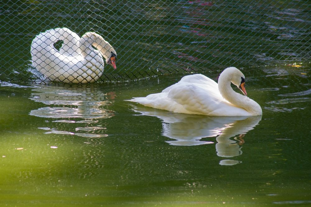 Photograph by Андрей Сосновский