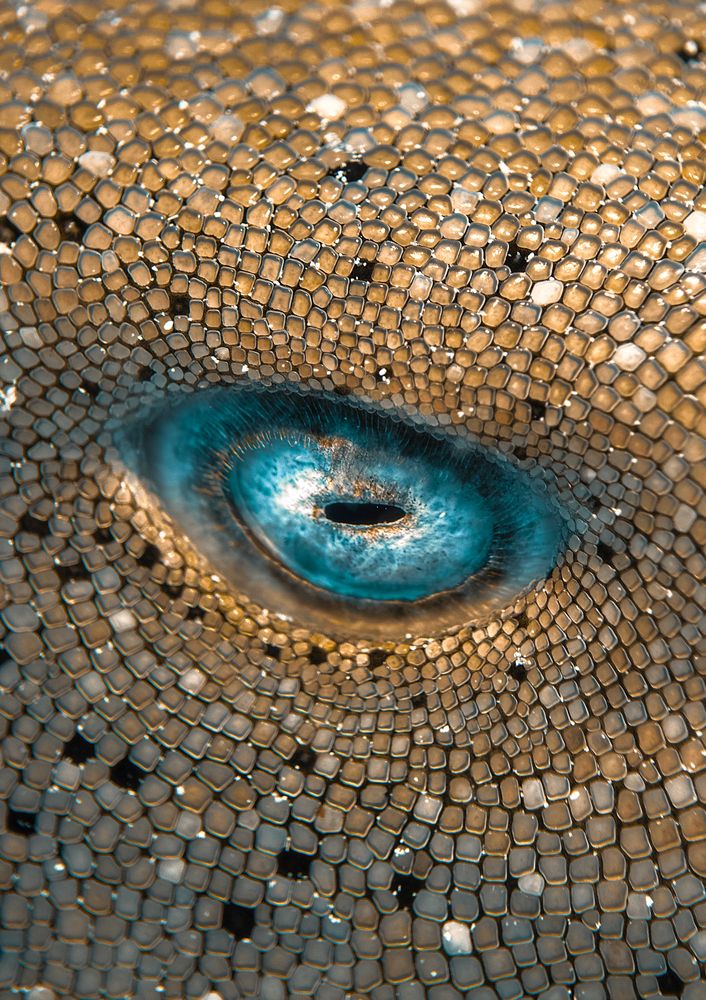 Photograph by Hadrien Foucher