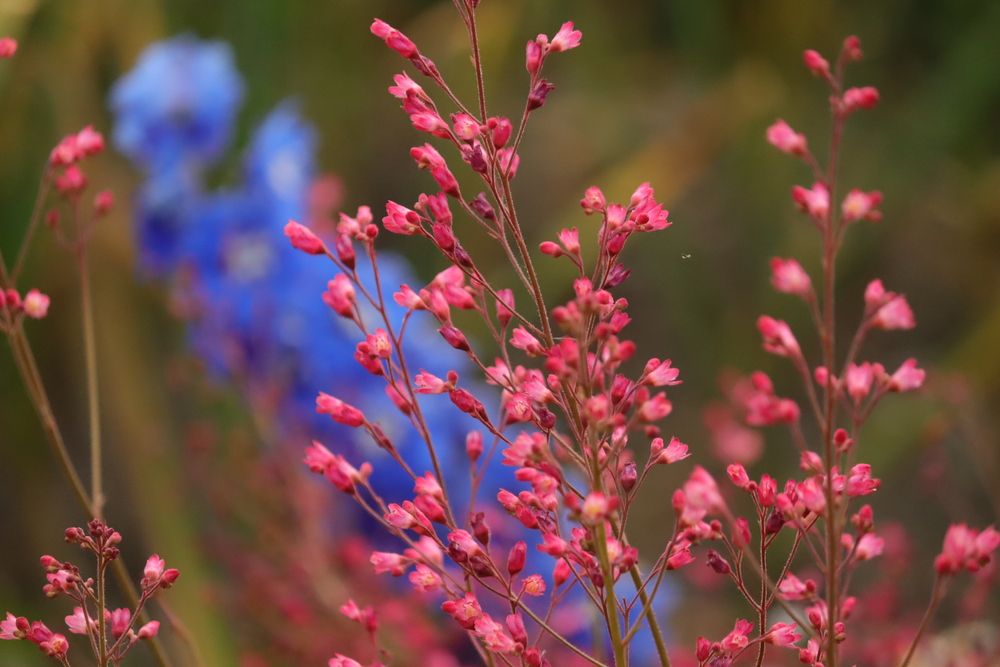 Photograph by Екатерина Александровна