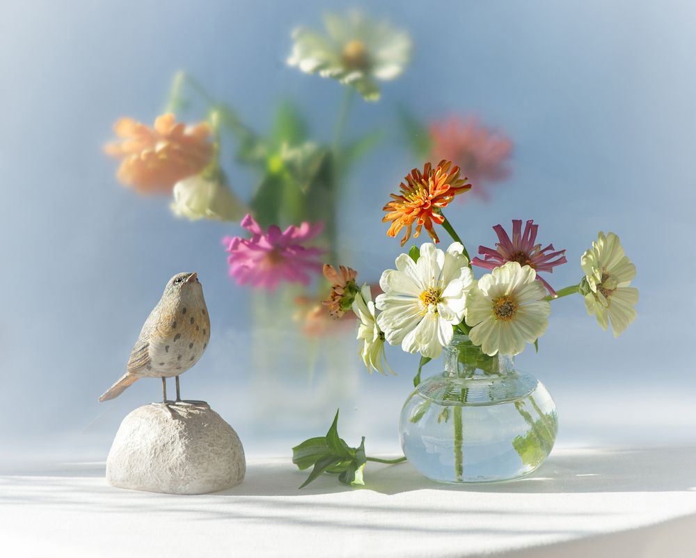 Photograph by NADEZHDA PELYMSKAIA