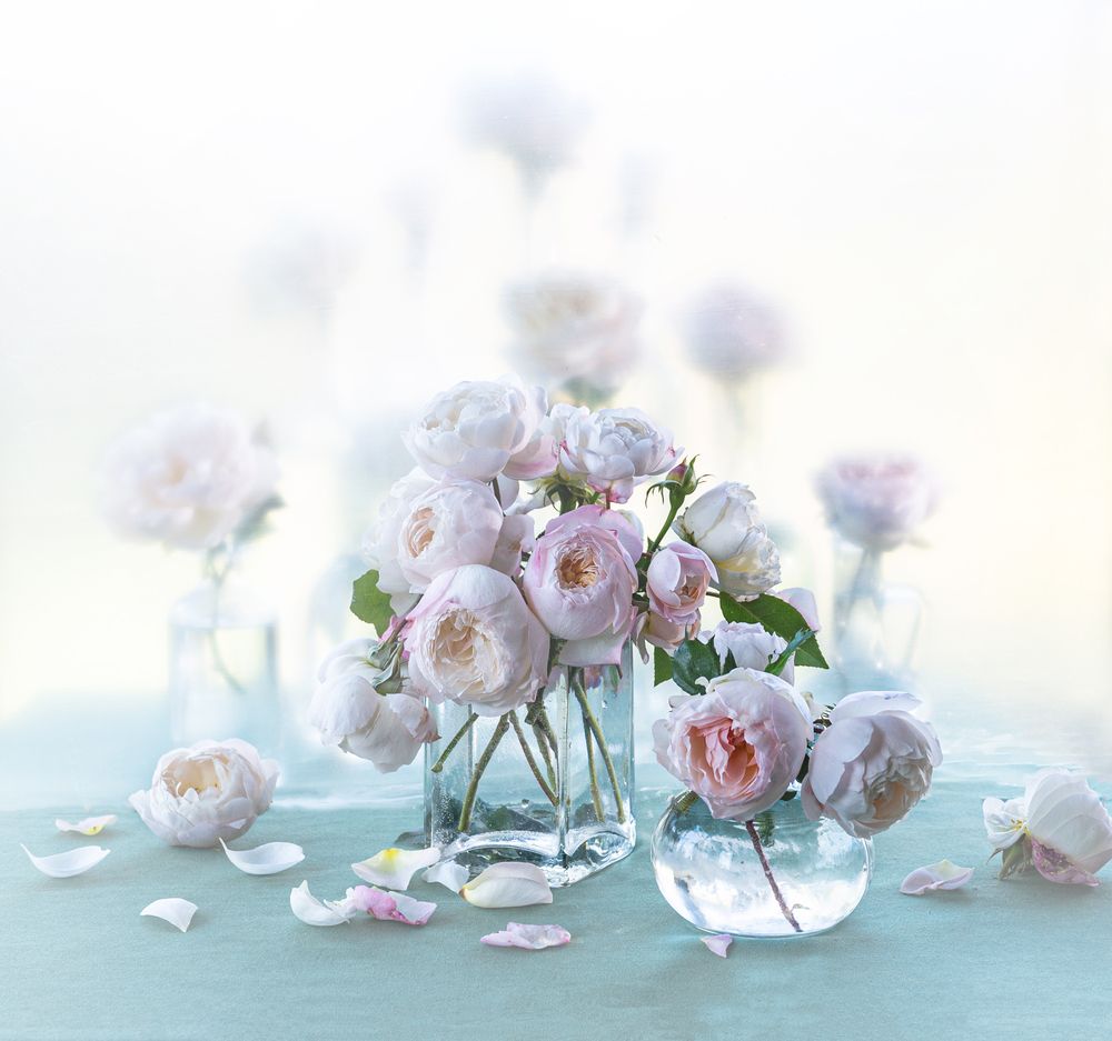 Photograph by NADEZHDA PELYMSKAIA