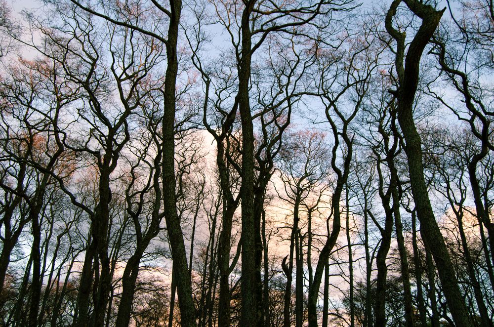 Photograph by Юлия Лебедева