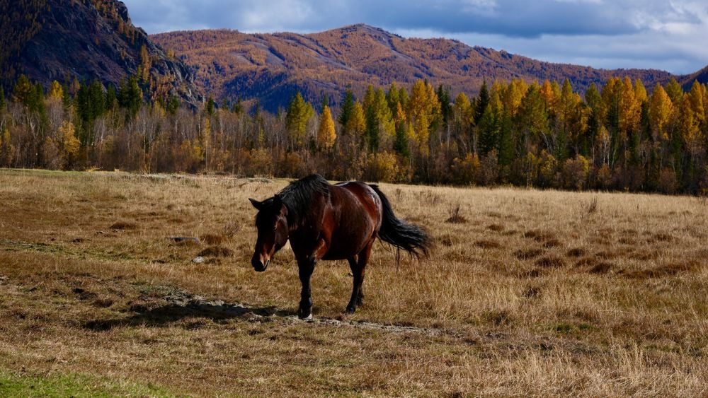 Photograph by Татьяна
