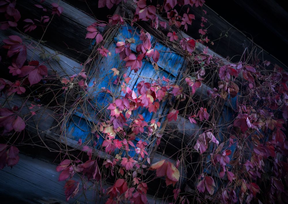 Фотография автора Maxim Bondar