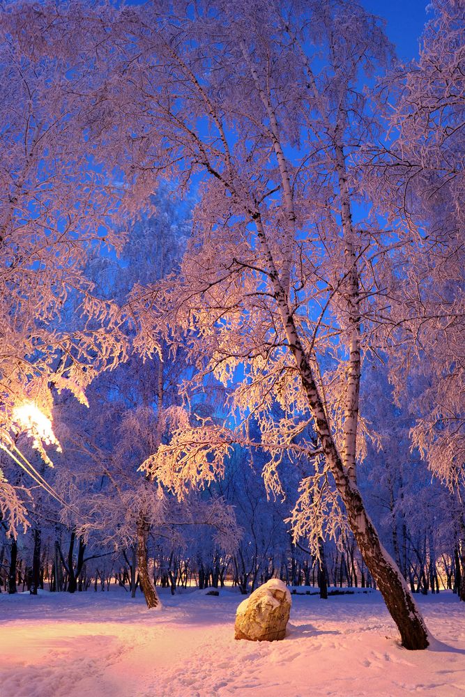 Фотография автора Кухта Мария