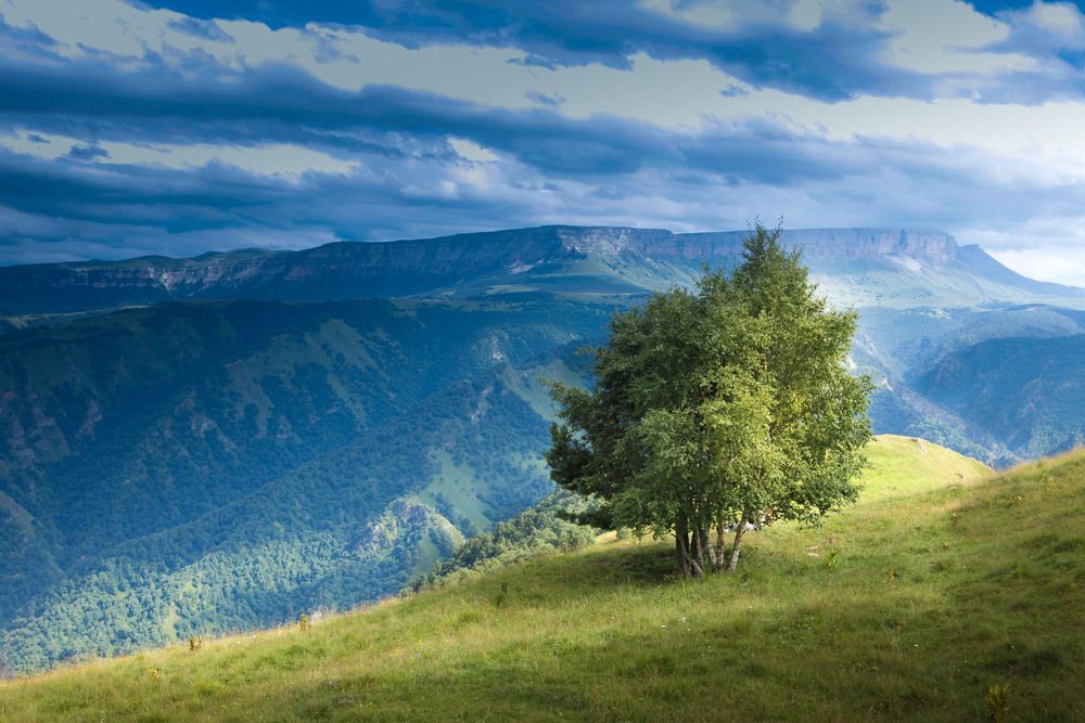 Photograph by Александр Ермаченко