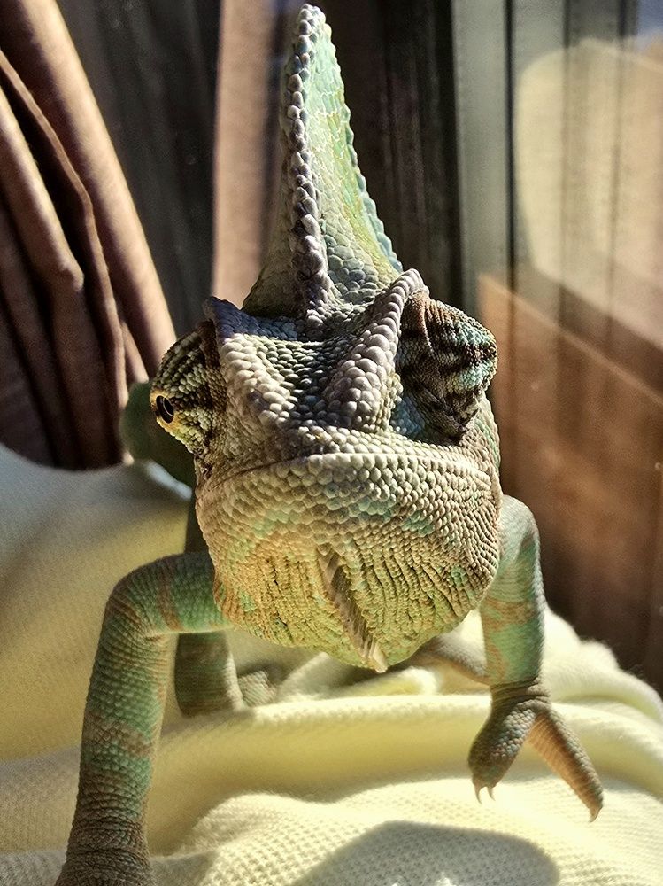 Photograph by Елена Данильчева