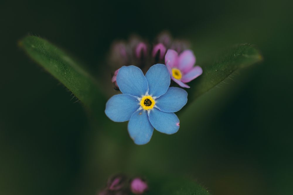 Photograph by Анна Бобкова