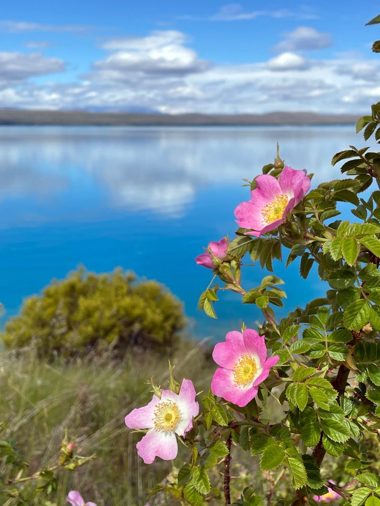 Photograph by Марина