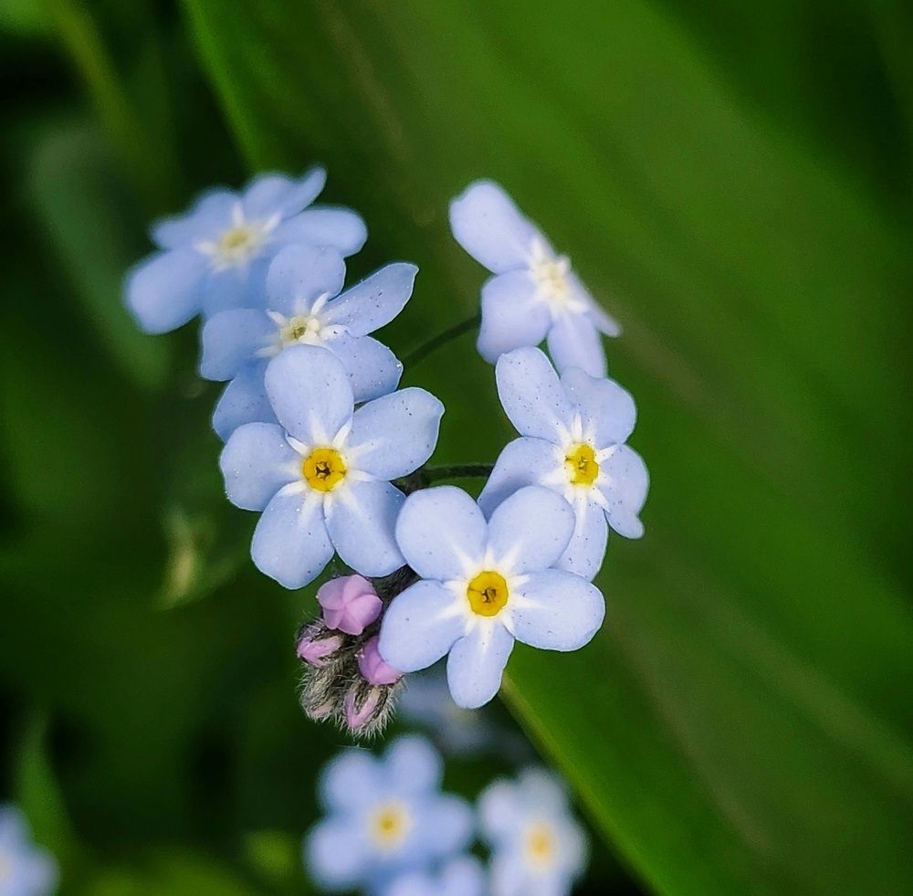 Фотография автора Татьяна Сякина