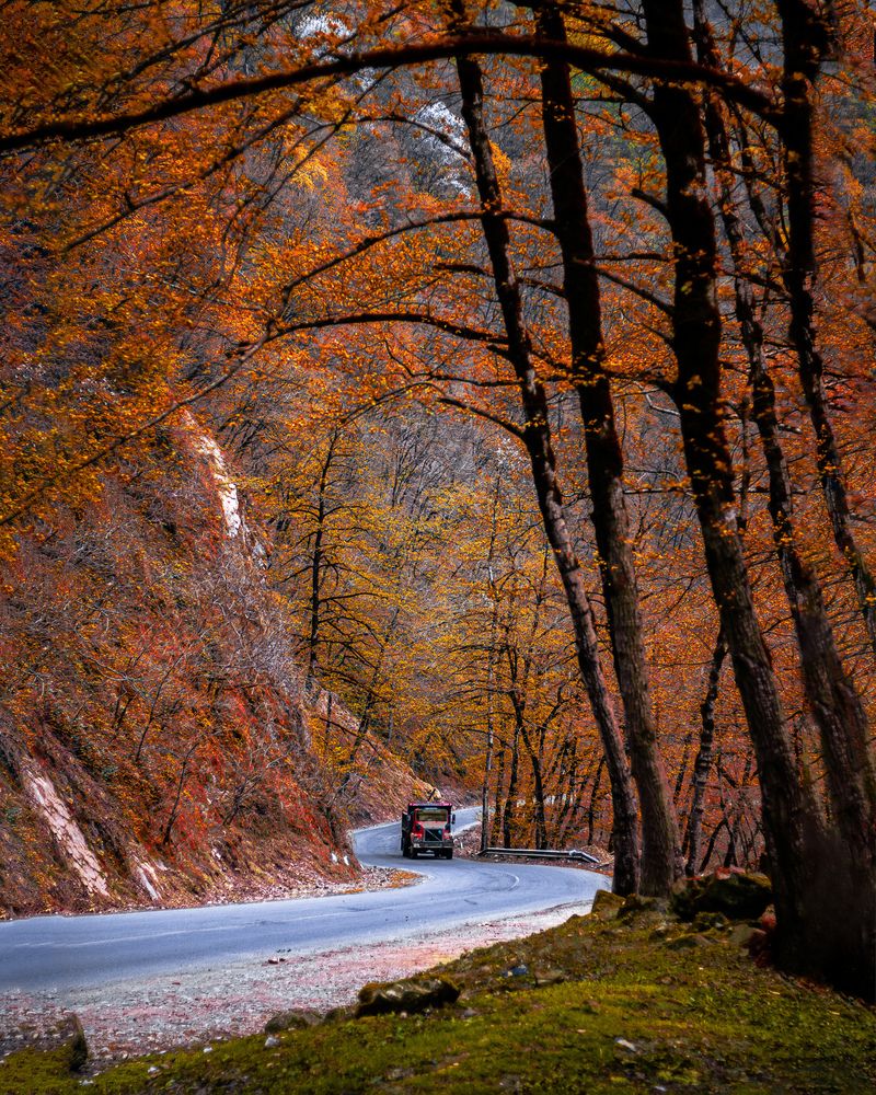 Photograph by Hamed Daei