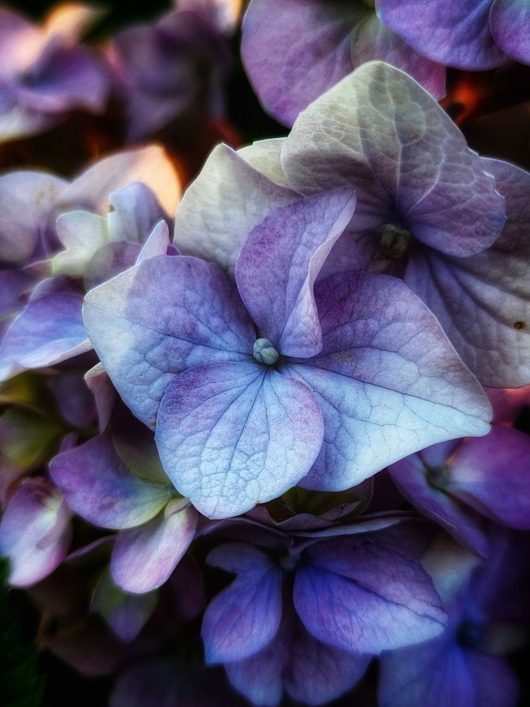 Фотография автора Татьяна Сякина