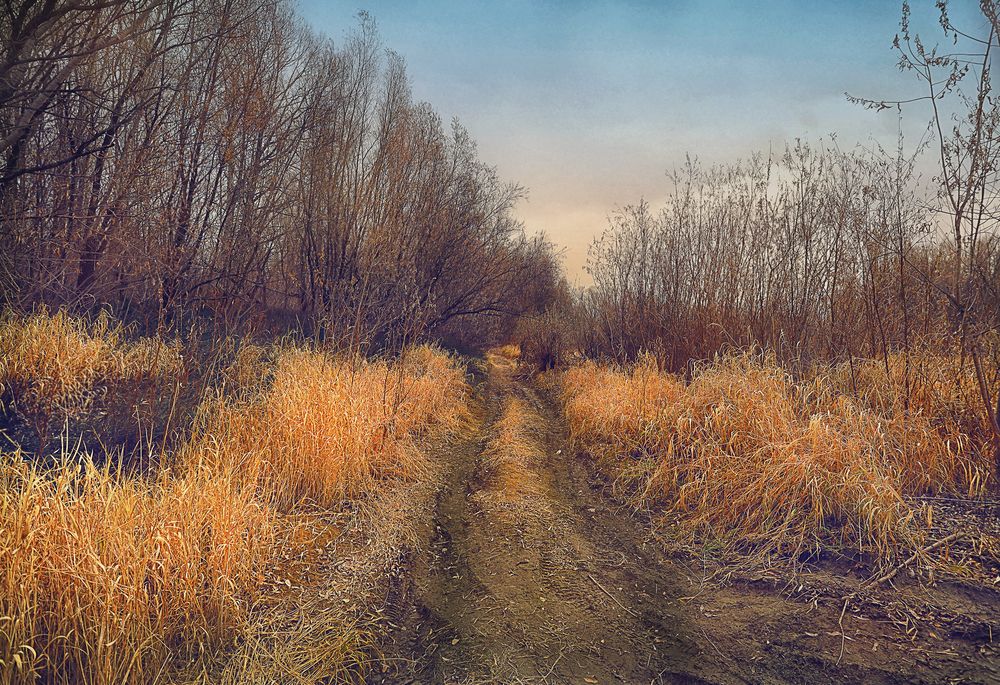 осень