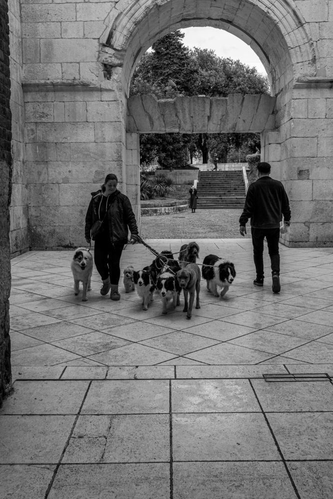 Photograph by Daniel Mandić