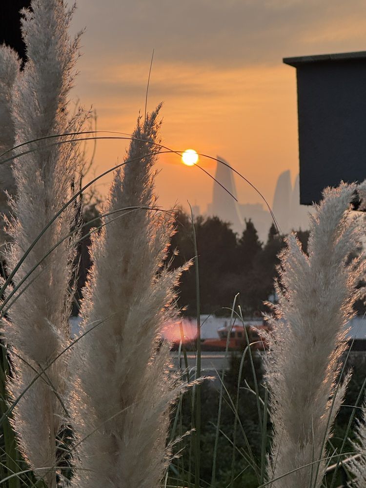 Baku bay. Sunset.