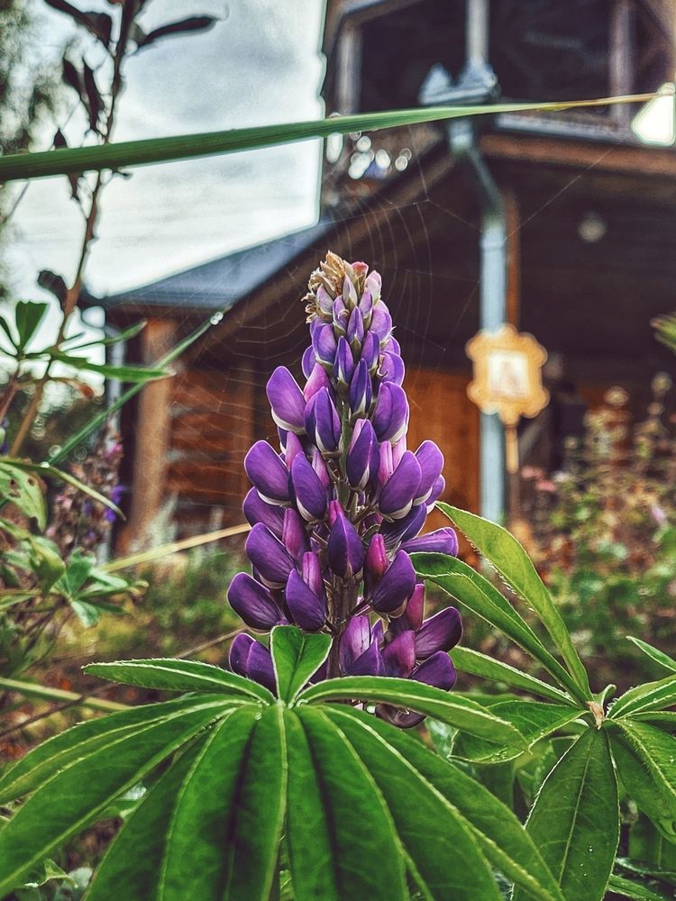 Фотография автора Татьяна Сякина