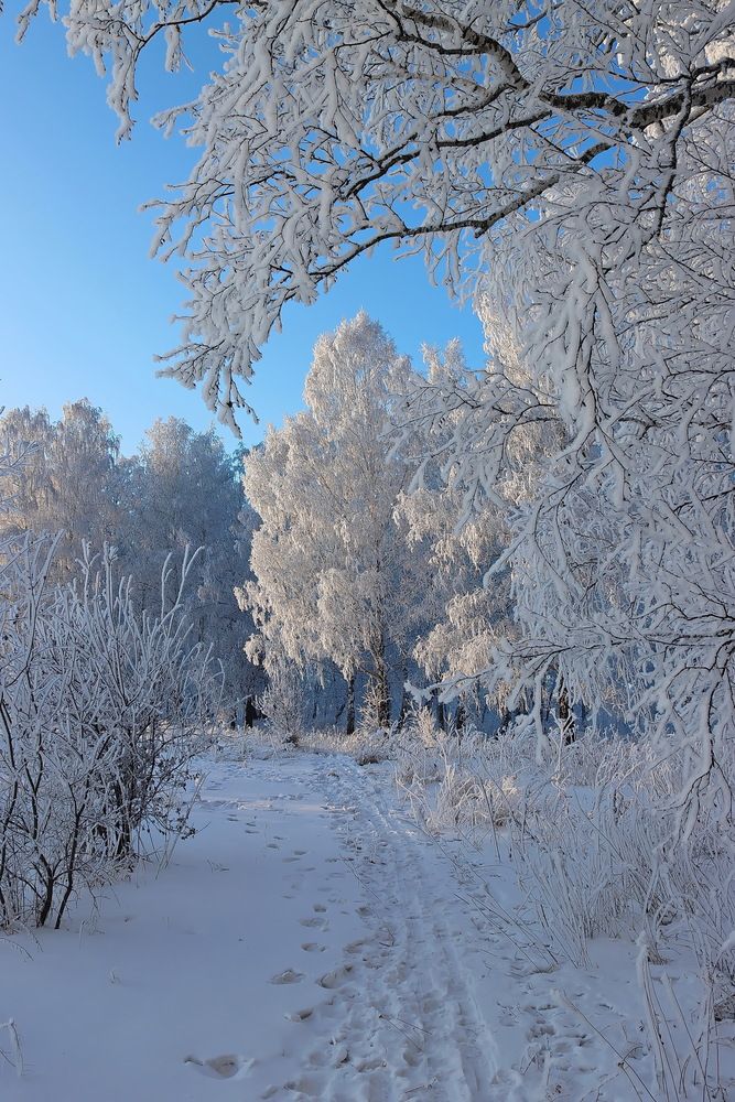 Photograph by Наталья Юрова