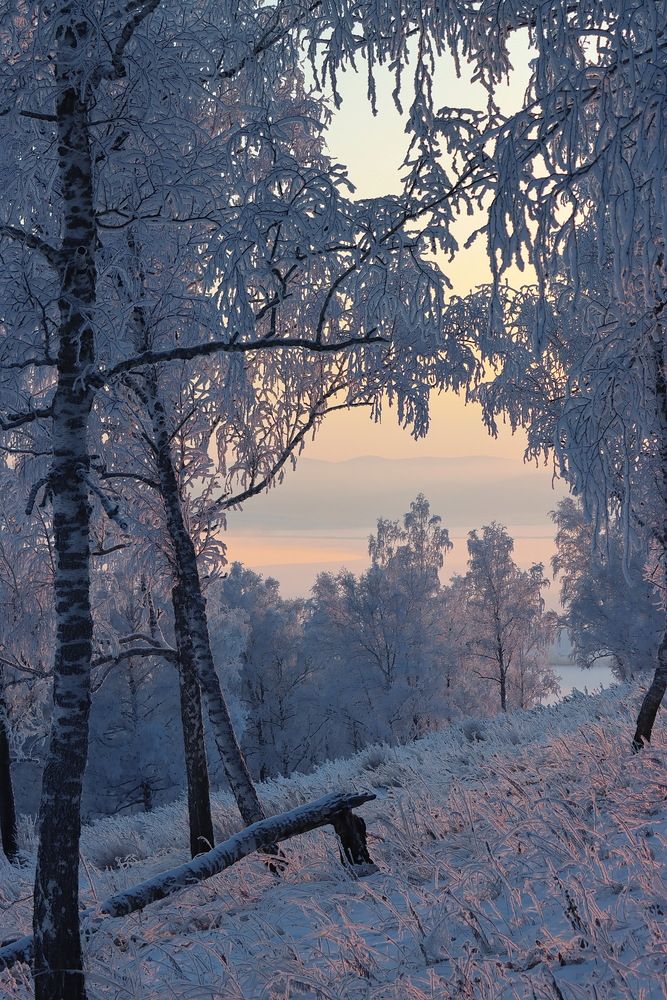 Photograph by Наталья Юрова