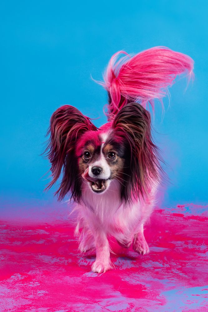 Photograph by Алина Дудорова