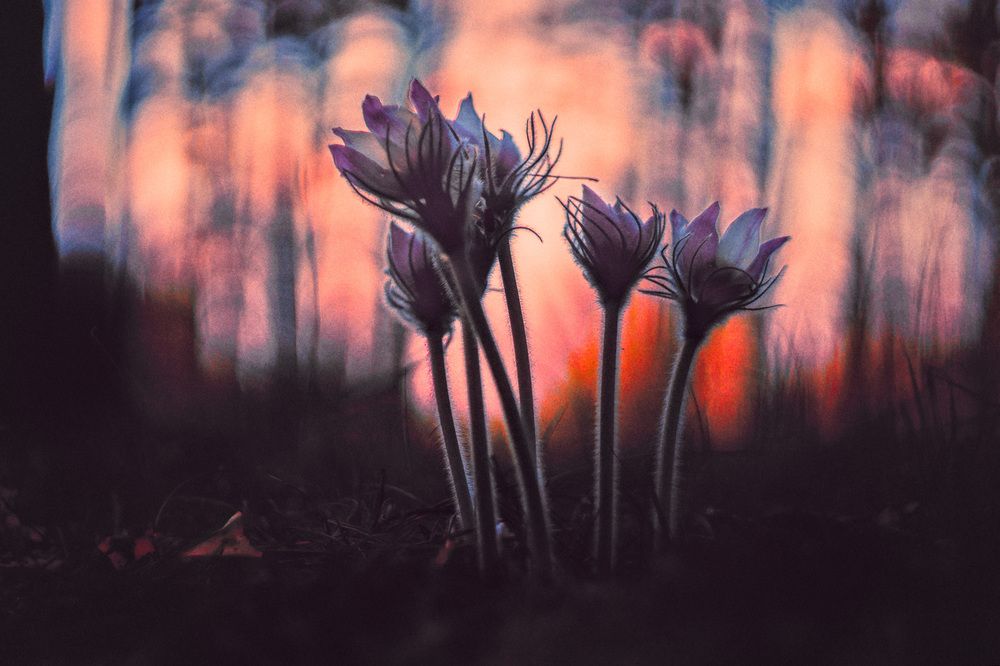 Photograph by Ткачёв Владимир