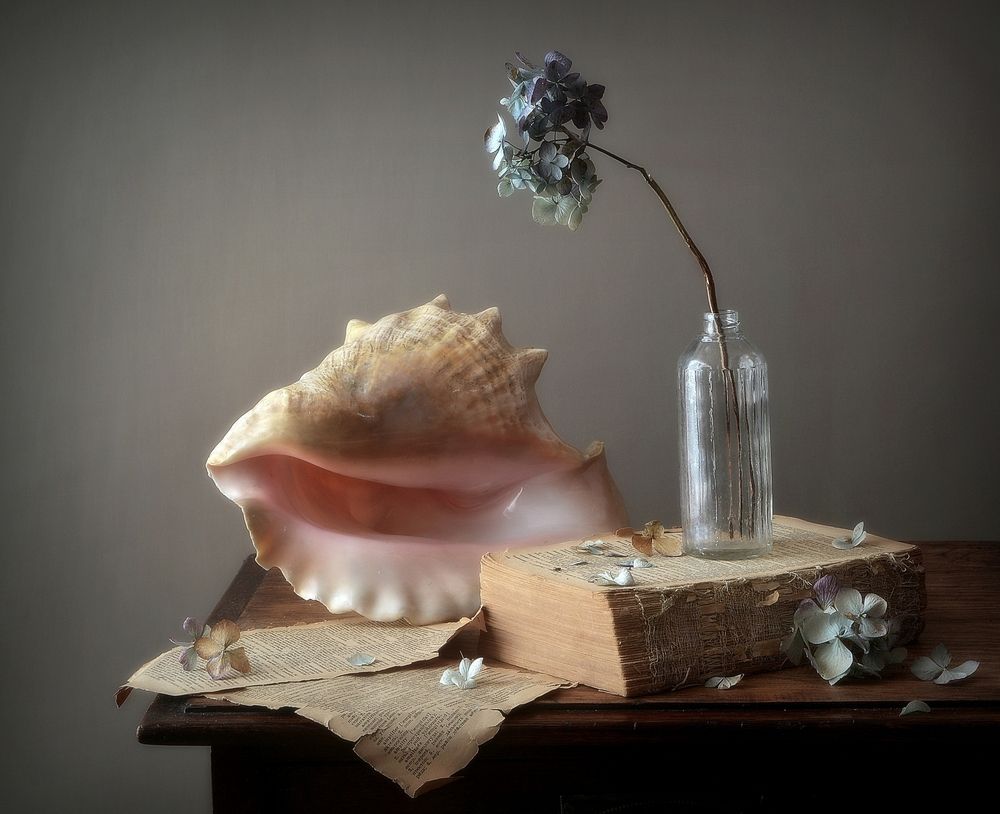 Photograph by Алексеев Сергей