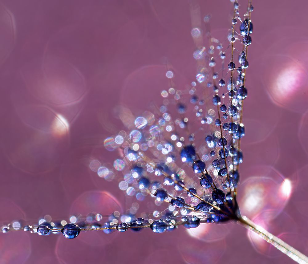 Photograph by Ворожцова Марина