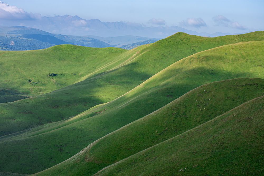 Photograph by Александра Плискова