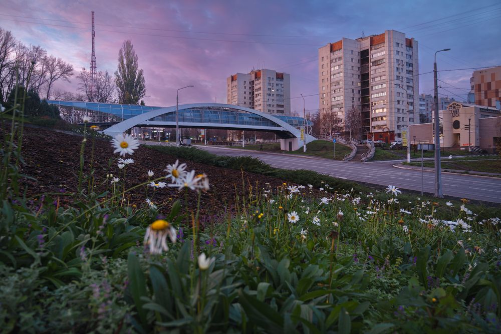 Photograph by Филатова Ольга