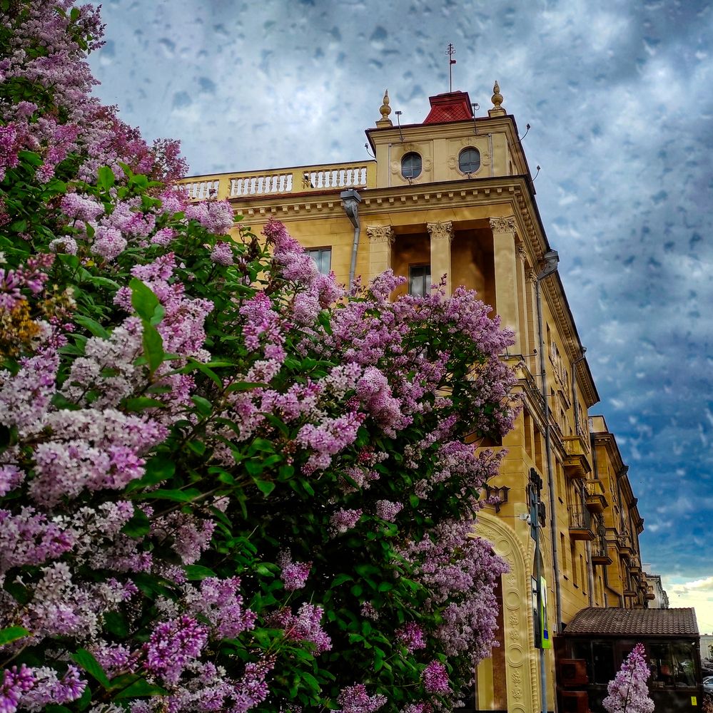 Photograph by Осадчая Анна
