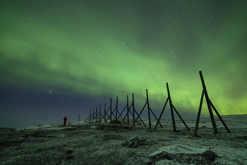 Photograph by Роман Папикян