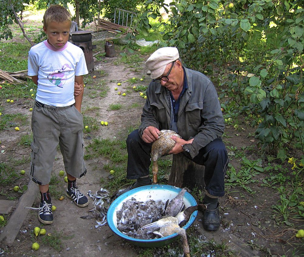 Photograph by Vladimir  Komarov