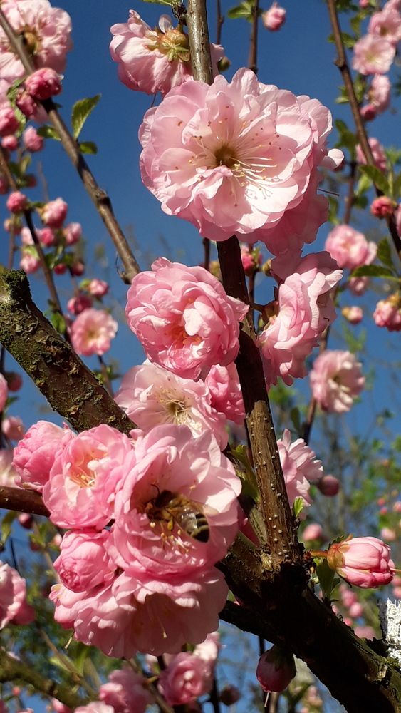 Photograph by Татьяна Солтан