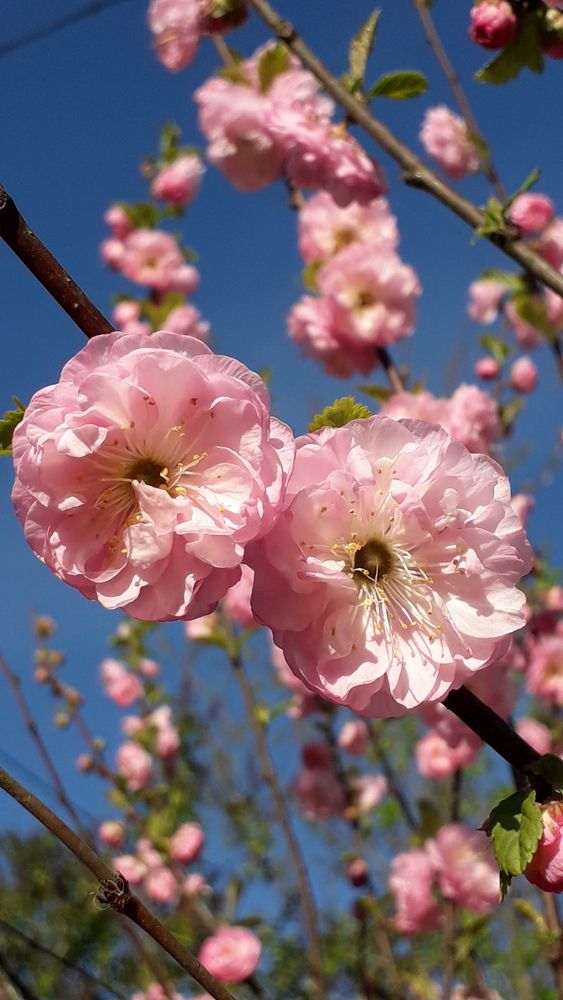 Photograph by Татьяна Солтан