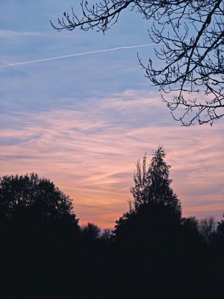 Фотография автора Наташа Данилова